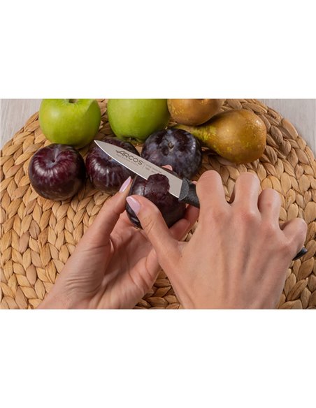 Nova series paring knife 85 mm
