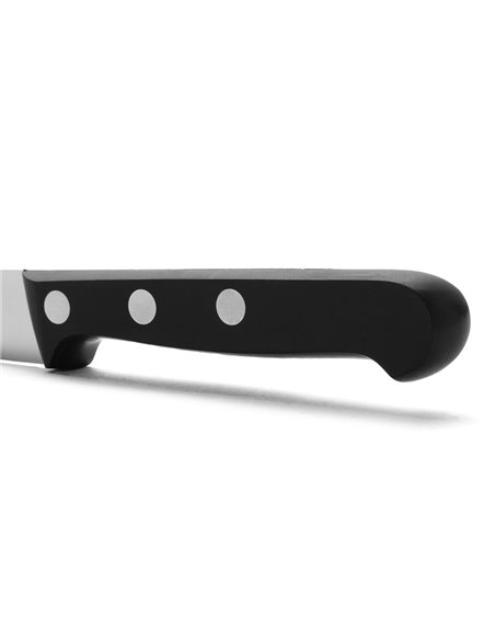 Gemüsemesser der Universal-Serie 100 mm