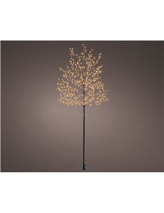 Outdoor illuminated tree with 480 warm LED lights