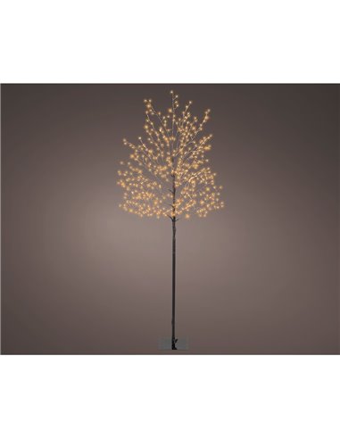 Outdoor illuminated tree with 480 warm LED lights