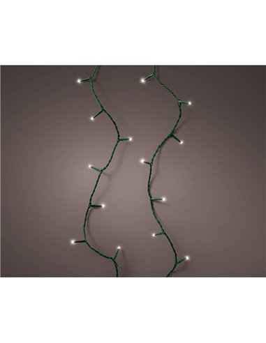 Connect LED string (interconnectable) multifunction 250 LEDs warm light with flashing effect outdoor green 18.7 m