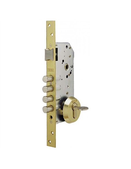CERRADURA SEGURIDAD R100B566E 50mm T60 FRENTE ORO TESA