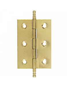 CAJA 24 BISAGRAS PLANA LATONADA 60x50mm 207 LIM 2