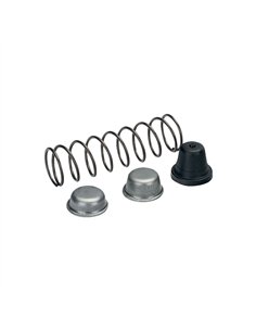 MUELLE+T/GOMA R1068 P3, P5, P8, P110, P123 antigua BAHCO