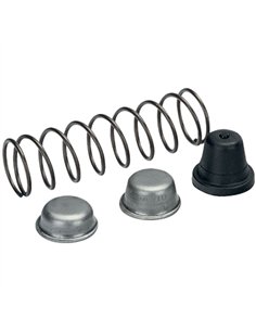MUELLE+T/GOMA R1068 P3, P5, P8, P110, P123 antigua BAHCO 2