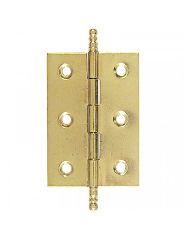 CAJA 24 BISAGRAS PLANA LATONADA 50x40mm 207 LIM
