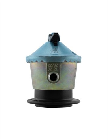 REGULADOR BUTANO 30 GR