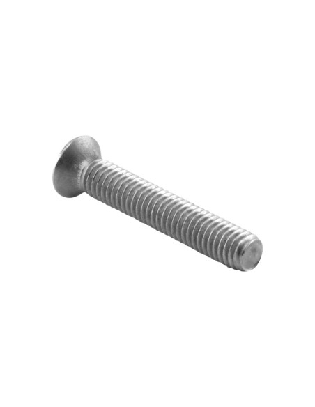 TORNILLO INOXIDABLE - M6 - 45MM