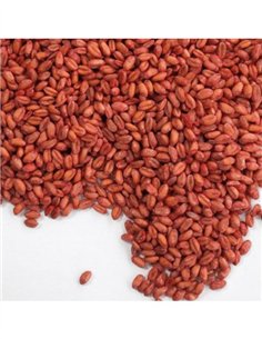 RATIBROM 2 CEREALES ESTUCHE 150g 2