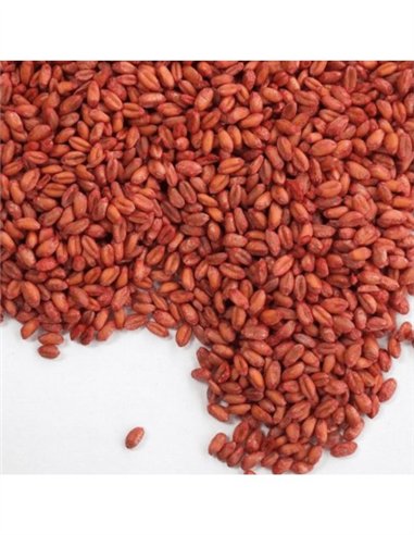 RATIBROM 2 CEREALES ESTUCHE 150g