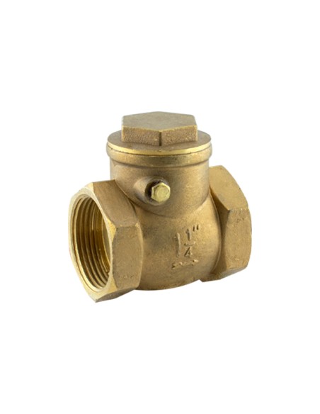 VÁLVULA RETENCIÓN CLAPETA - 2 1/2"