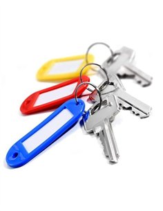 LLAVEROS ETIQUETA BOLSA 100 PZS - SURTIDO 2