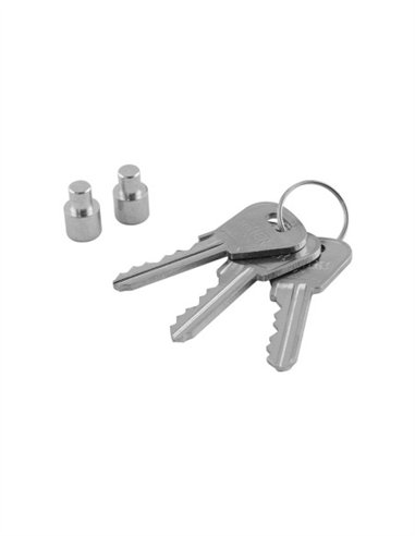 CERRADURA PARA PERSIANA L5511 ZP INTHER