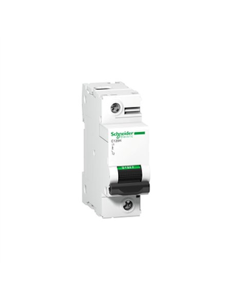 C120H 1P 100A C 15000A 240/415V MINIATUR