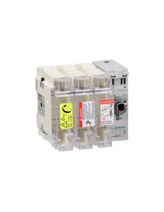 INTERRUPT SECC FUSIBLE 3X 100A 22 x 58