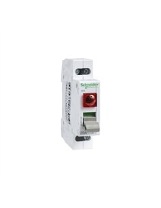 INTERRUPTOR CON PILOTO 2P 32A 250V