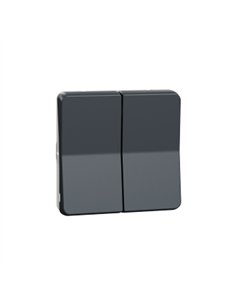 Doble conmutador IP55 Gris