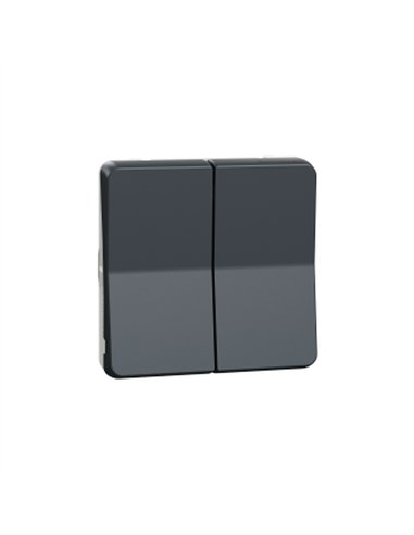 Doble conmutador IP55 Gris