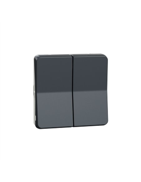 Doble conmutador IP55 Gris