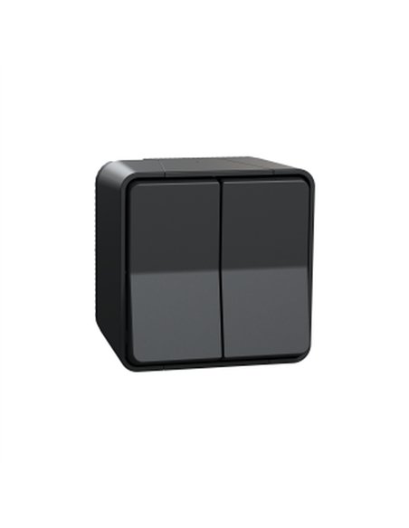 Doble conmutador superficie IP55 Gris