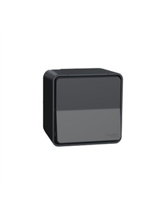 Interruptor bipolar superf. IP55 Gris