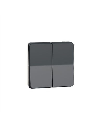 Pulsador de persianas IP55 Gris