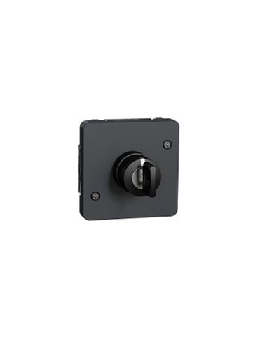 Interruptor de llave 3 posic. IP55 Gris