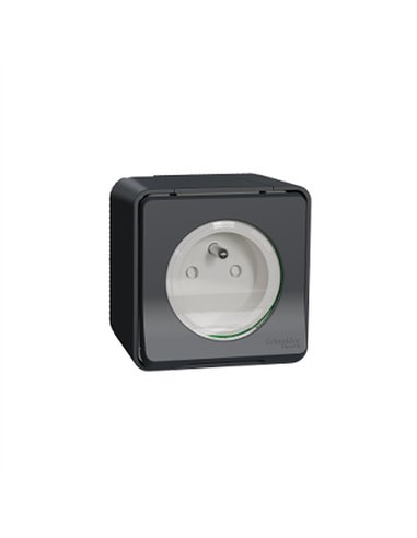 Base 2P+TTF superficie IP55 Gris