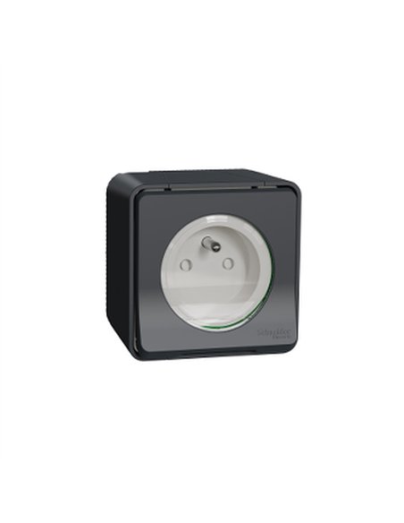 Base 2P+TTF superficie IP55 Gris