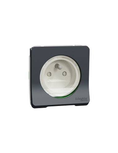 Base 2P+TTF conexion rapida IP55 Gris