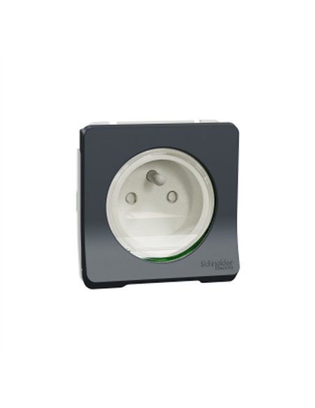 Base 2P+TTF conexion rapida IP55 Gris