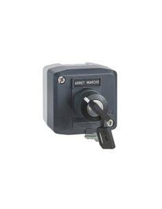 CAJA 1 SEL.LLAVE 455 2 POS.FIJ