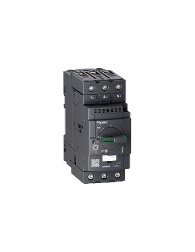 GV3P MOTOR CB THERMO/MAG 70-80A EVERLINK