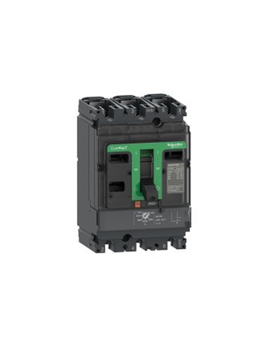 NSX100H 70kA AC 3P3R 100A MA