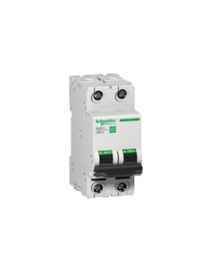 C60N UL1077 2P D 4A Box