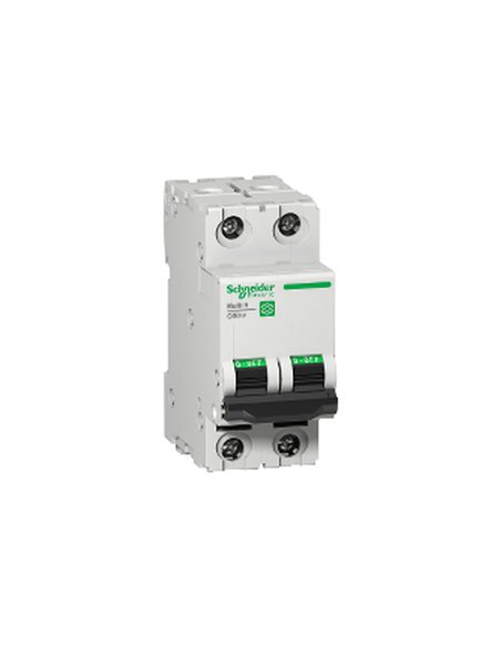 C60N UL1077 2P D 6A Box