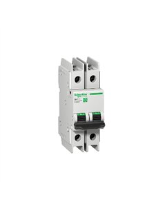 C60N UL489 2P C 8A Box