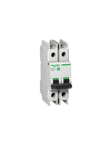 C60N UL489 2P D 4A Box
