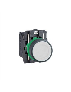 PULS. RASANTE NA BLANCO