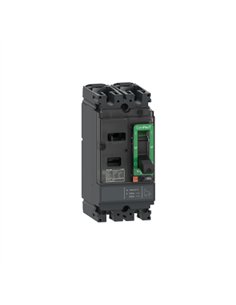 NSX160F 18kA AC-DC 2P 160A TMD