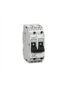 DISYUNTOR MAG TER 2P PROT.6A