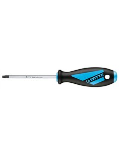 Witte-53306-Destornillador Torx Seguridad MAXX (10x80)
