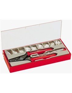 NWS-143-BS-Estuche alicates prensa terminales + terminales