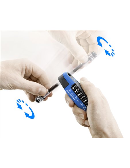Witte-25101-Caja de 7 puntas con carraca Ratchdrive (PH/PZ)