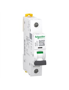 Interruttore automatico SCHNEIDER iC60N 1 polo 63A tipo D.