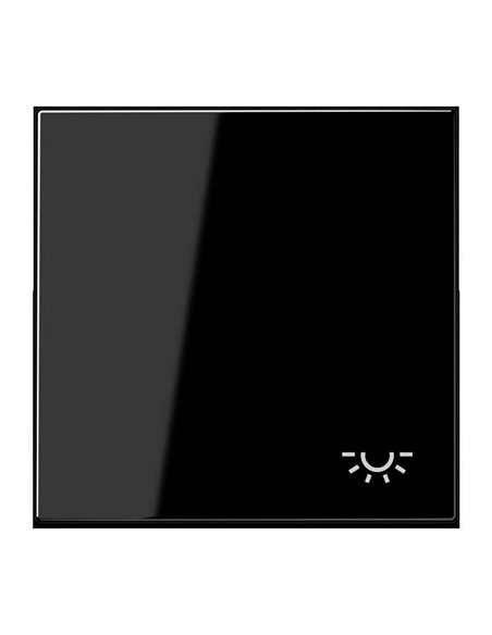 Push button with light symbol BLACK JUNG LS 990 L SW