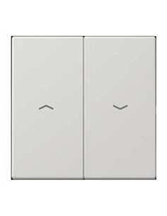 Double key for blind switch or push button GRAY GRAY JUNG LS 995 P LG