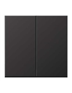 Double key for switch or button DARK JUNG AL 2995 D