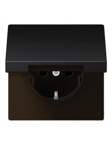 Schuko 2P + TT plug base cap with DARK JUNG AL 1520 KI KL D cap