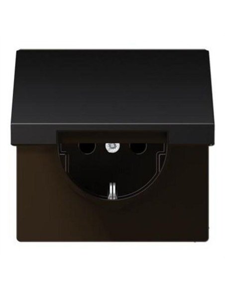 Schuko 2P + TT Stecker Basiskappe mit DARK JUNG AL 1520 KI KL D Kappe